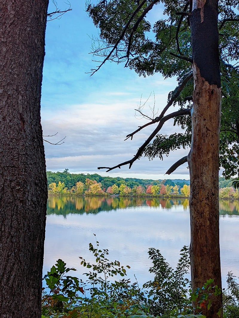 Horn Pond 10 min walk from apartment 