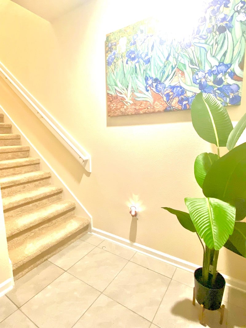 Furnished Finder property 372061_1 photo 10