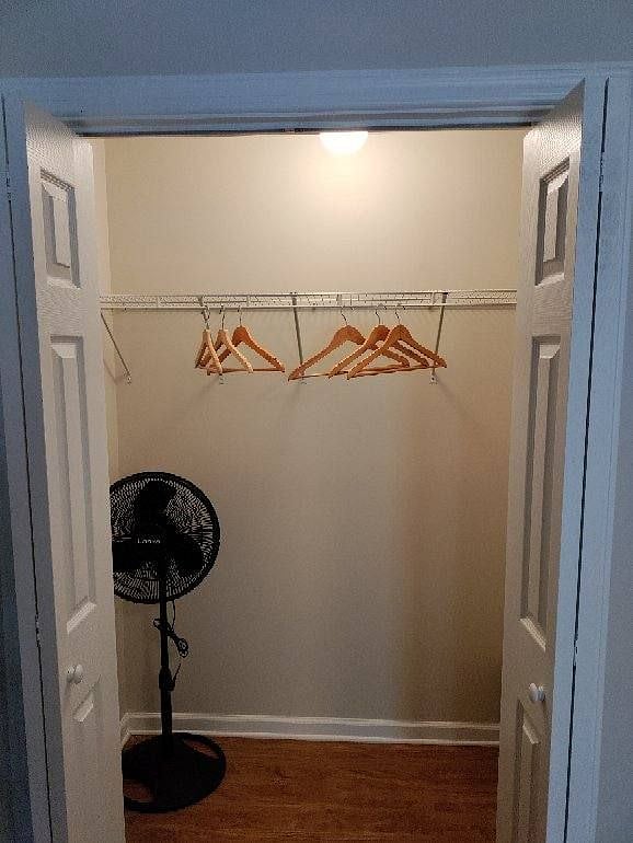 Living Room Closet space