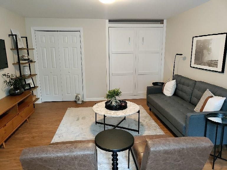 Living room. Queen-size murphy bed and large closet.