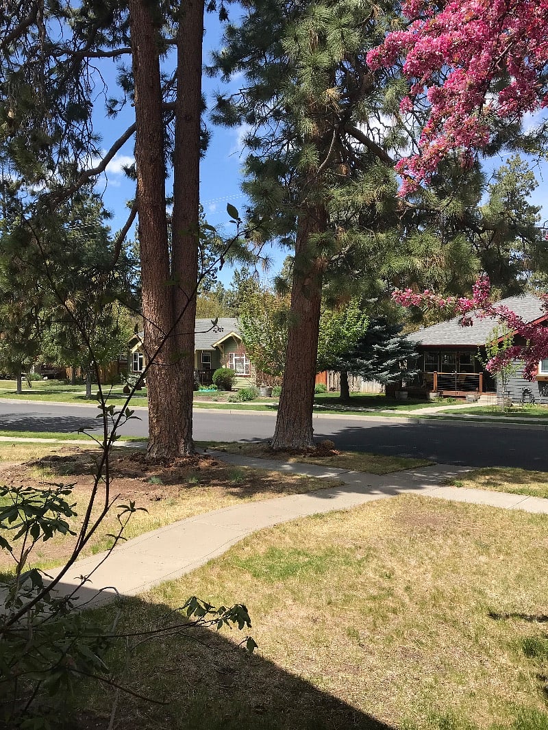 Furnished Finder property 372148_1 photo 9