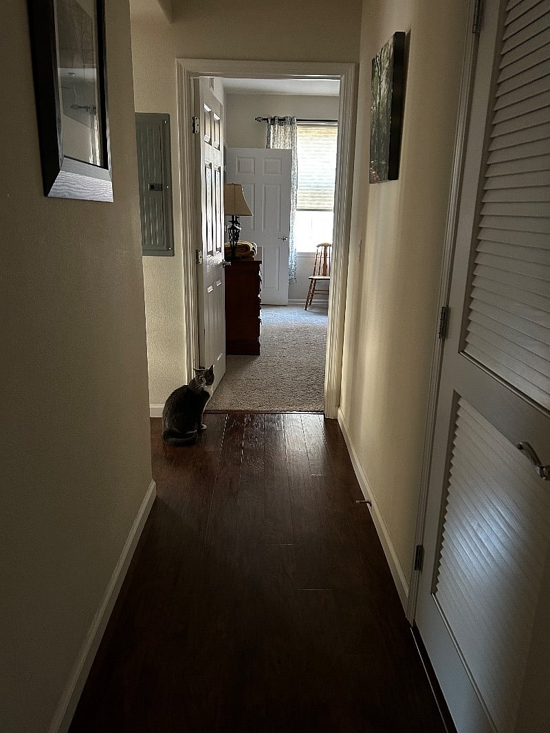 Furnished Finder property 372162_1 photo 9