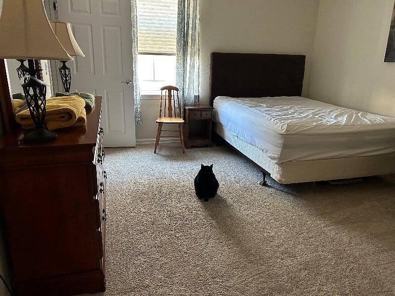 Furnished Finder property 372162_1 photo 17