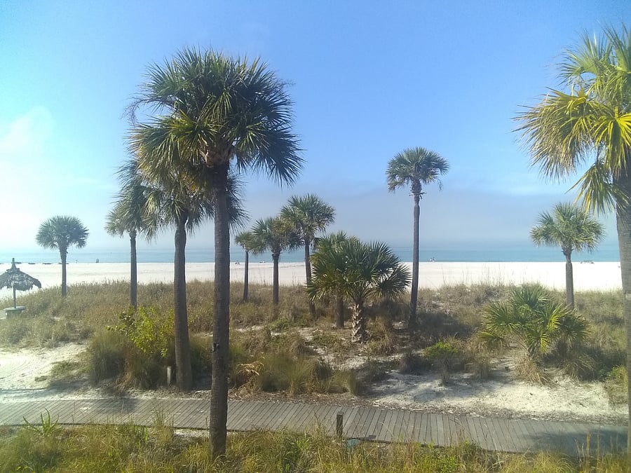 Furnished Finder property 372245_1 photo 12