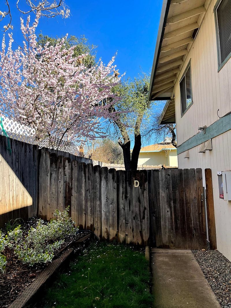 Furnished Finder property 372527_1 photo 19