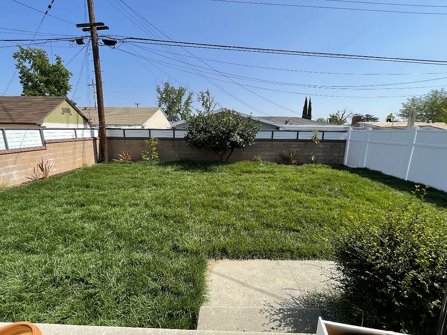 Backyard, from patio perspective. Perfect for pups.  Completely fenced in. 