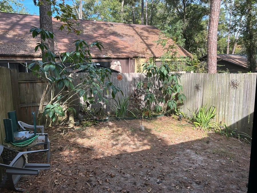 Back yard