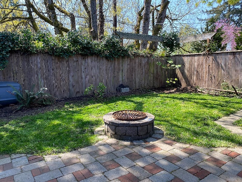 Shared fire pit in rest of backyard