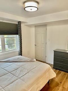 Furnished Finder property 372606_1 photo 4