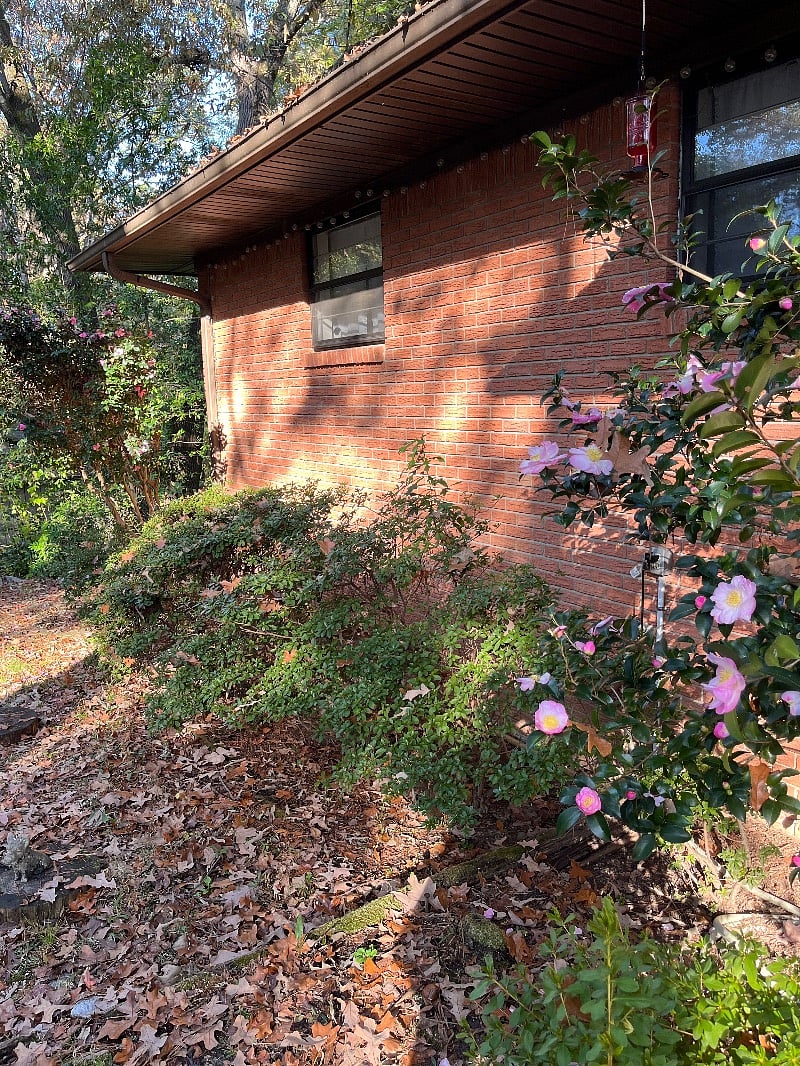 Furnished Finder property 372951_1 photo 7