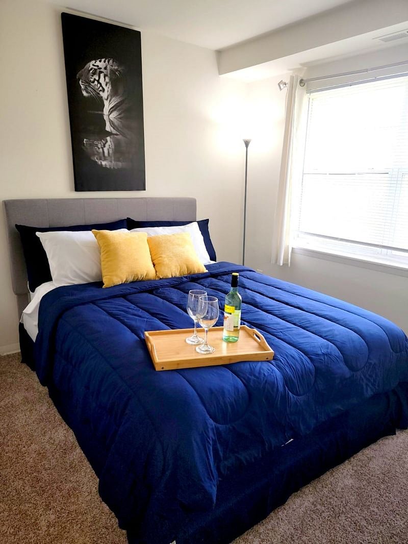 Furnished Finder property 373044_1 photo 16