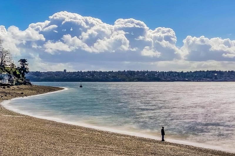 Beach Walks Are The Best