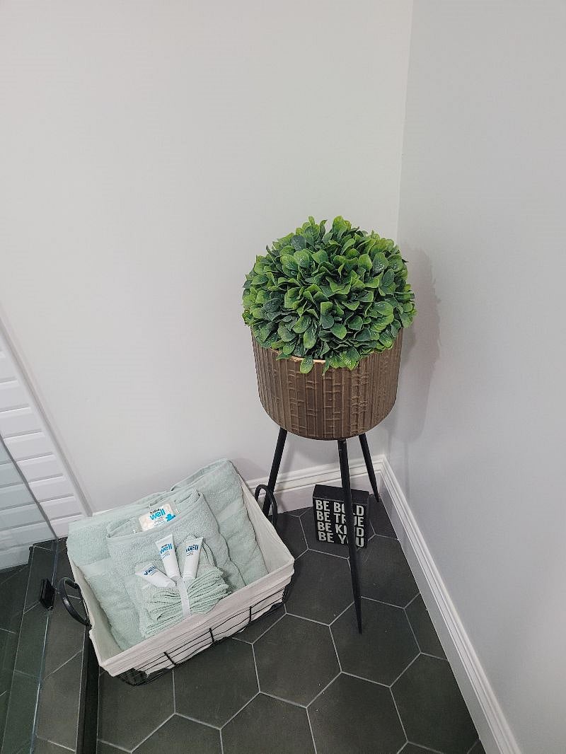 Furnished Finder property 373362_1 photo 11