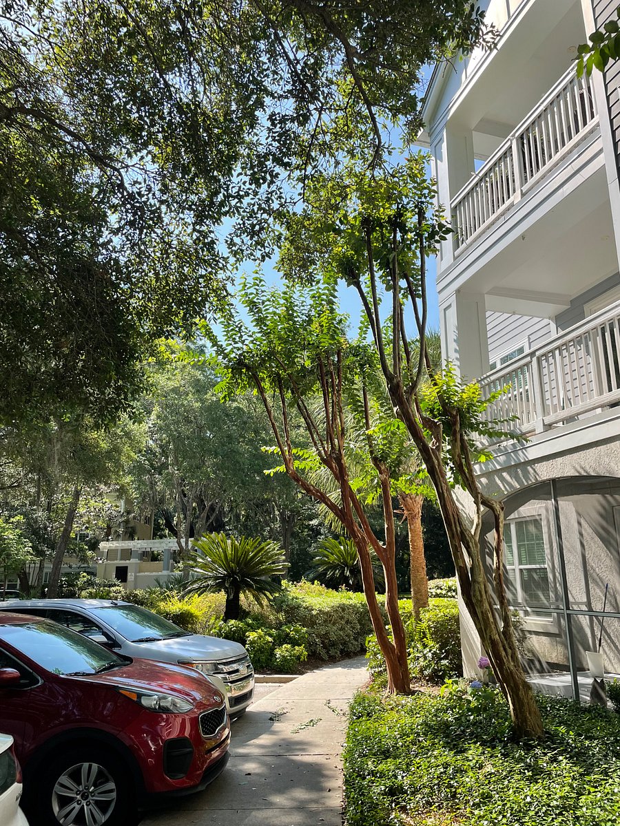 Furnished Finder property 373559_1 photo 17