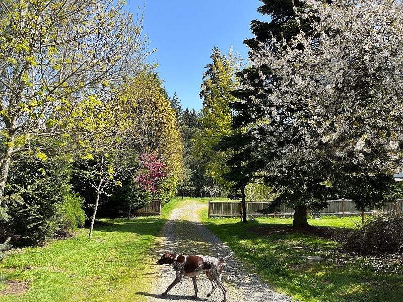 Long gravel driveway.