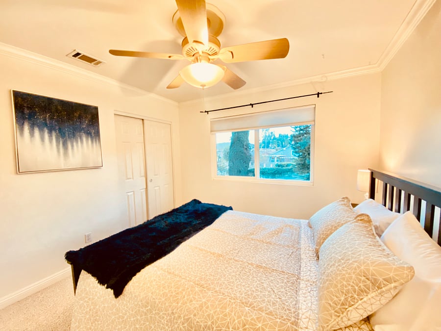 Furnished Finder property 373979_1 photo 43