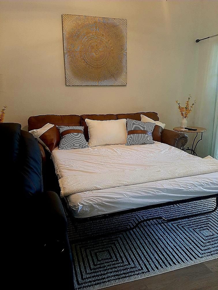 Pull Out Sofa Bed