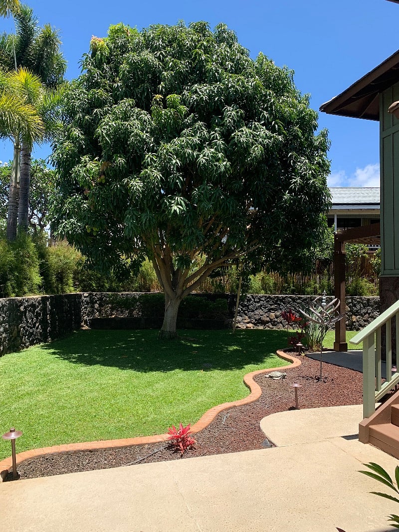 Furnished Finder property 374021_1 photo 19
