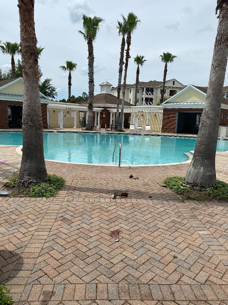 Furnished Finder property 374454_1 photo 3