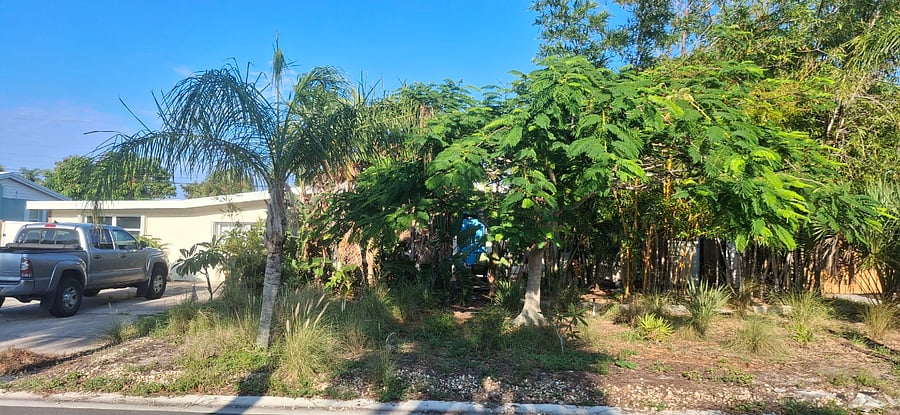 Furnished Finder property 374483_1 photo 16