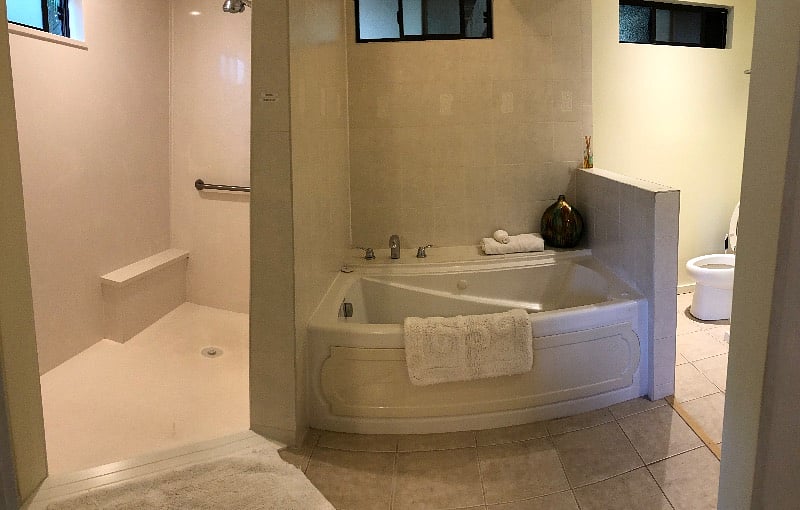 master bath with walk-in shower and jacuzzi tub