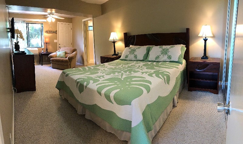 masyer bedroom with king bed
