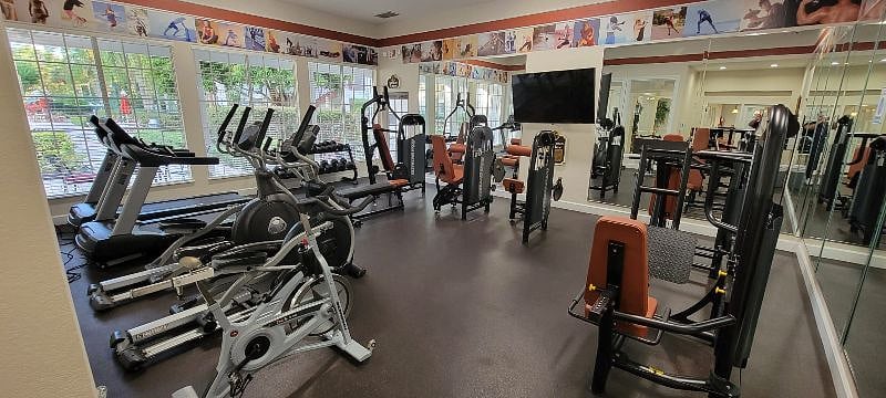 Furnished Finder property 374733_1 photo 18