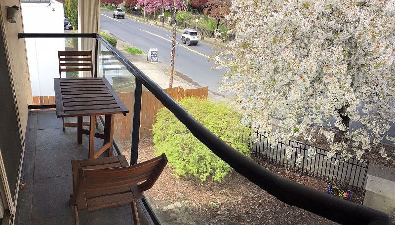 View from balcony