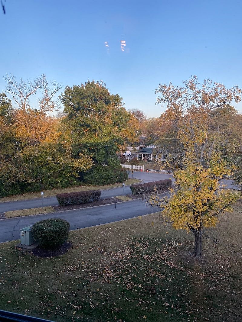 Furnished Finder property 374972_1 photo 20