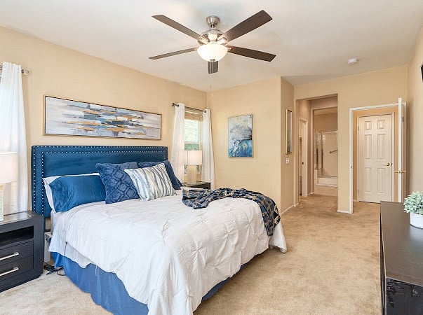 Furnished Finder property 375018_1 photo 16