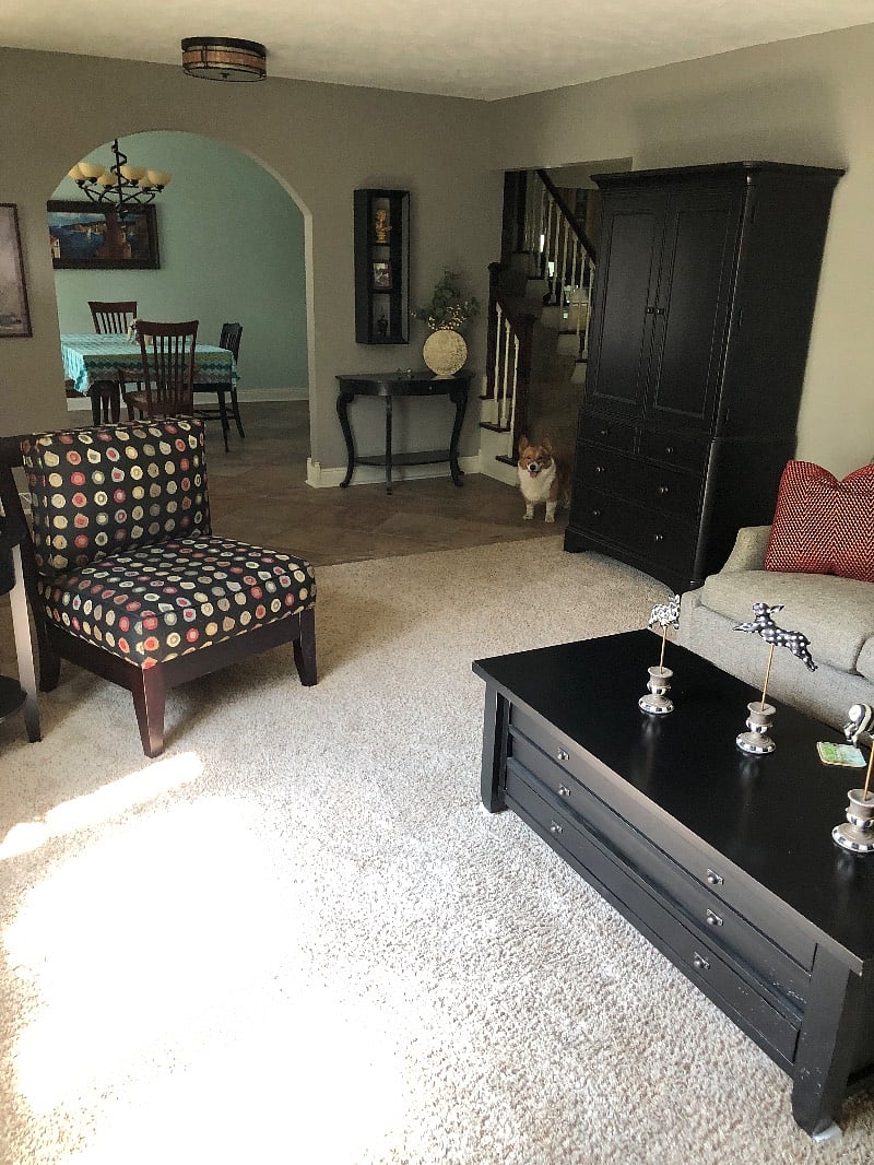 Living room with attractive furnishings.