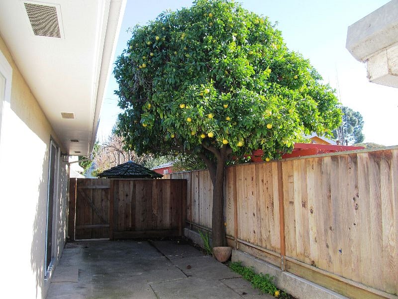 Furnished Finder property 375087_1 photo 13