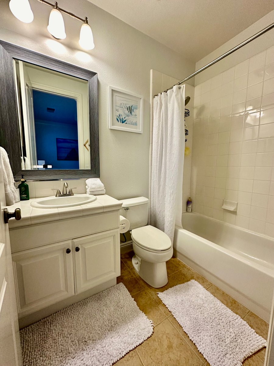 Furnished Finder property 375120_1 photo 15