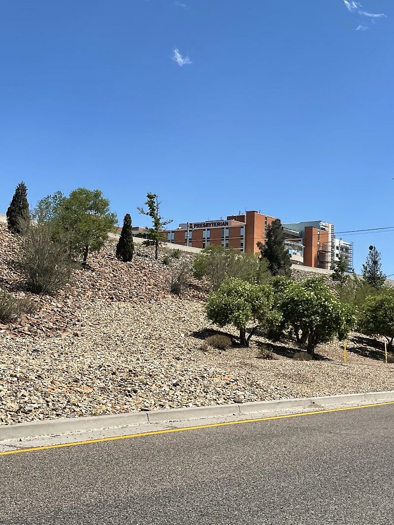 Furnished Finder property 375129_1 photo 15