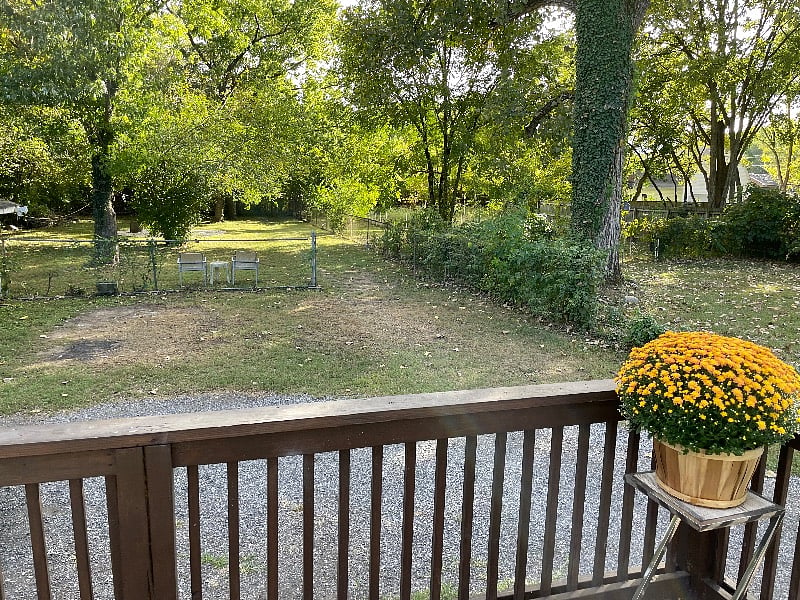Furnished Finder property 375371_1 photo 14
