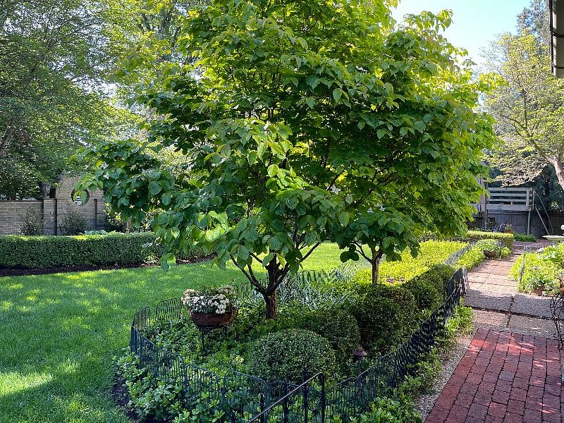 Access to 2 patios