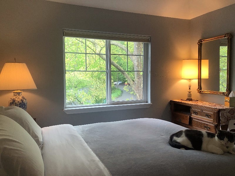 Furnished Finder property 375670_1 photo 18