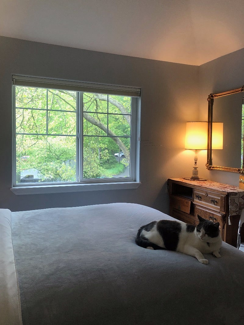 Furnished Finder property 375670_1 photo 20