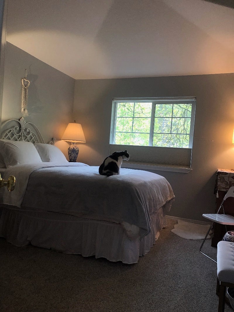 Furnished Finder property 375670_1 photo 5