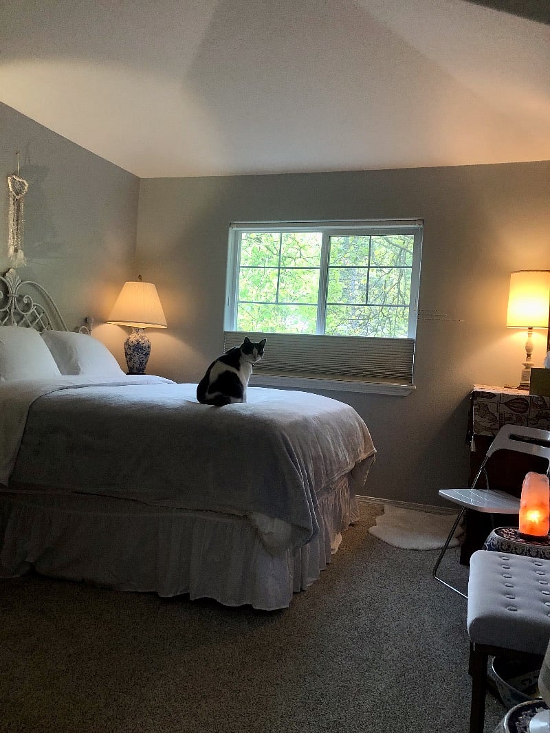 Furnished Finder property 375670_1 photo 24