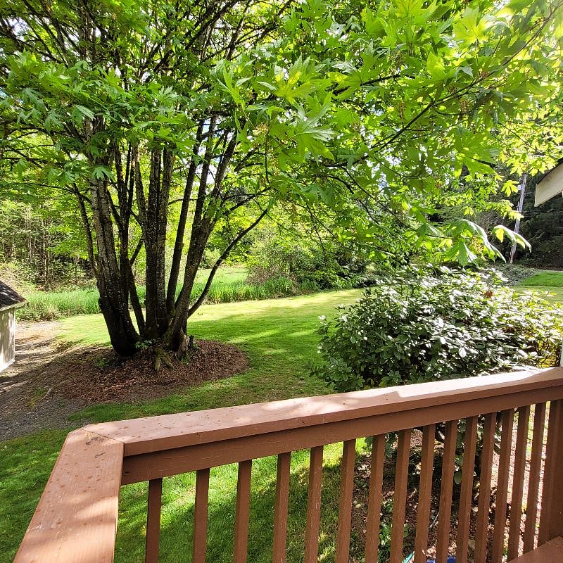 Furnished Finder property 375728_1 photo 17