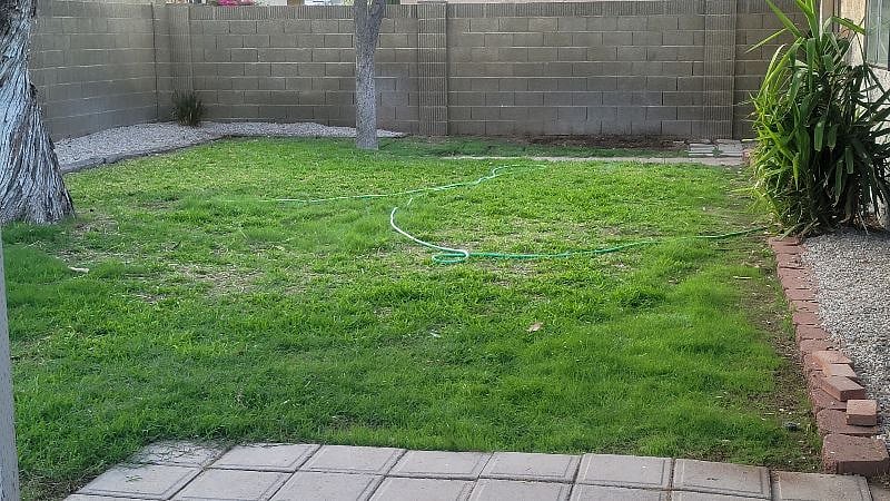 Large beautiful walled in yard