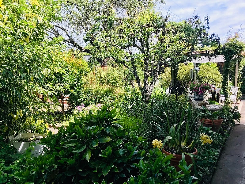 garden