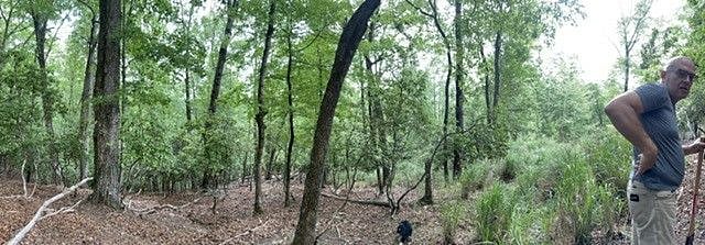 Take a walk up into the property and explore.