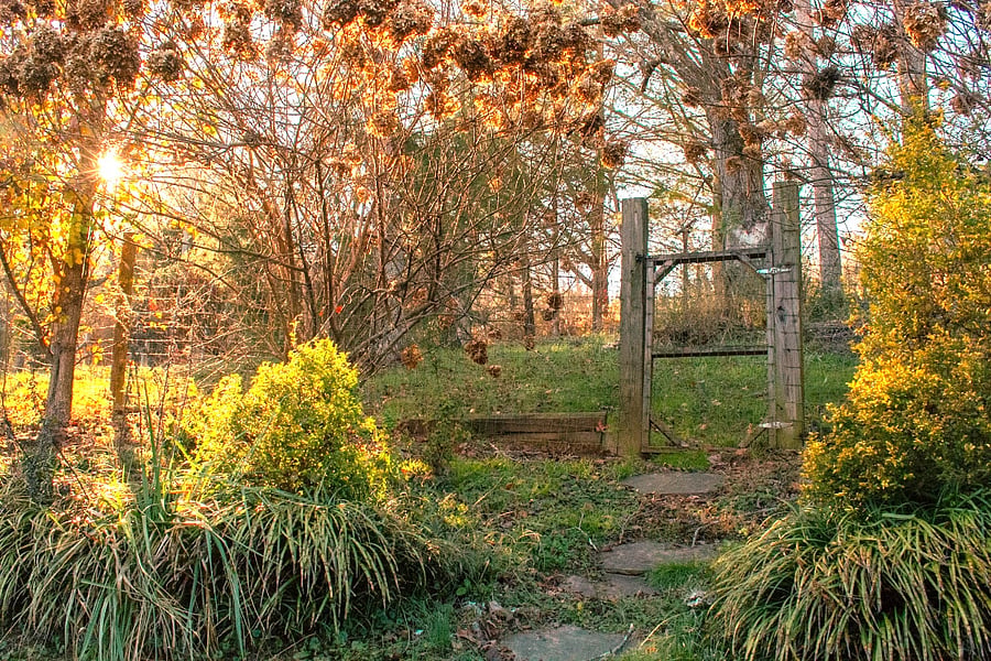 Walk through this gate, you are ready for a walk in nature.Honeybee Farmhouse is spring fed.