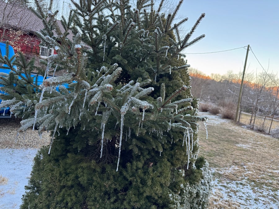 The beauty of winter