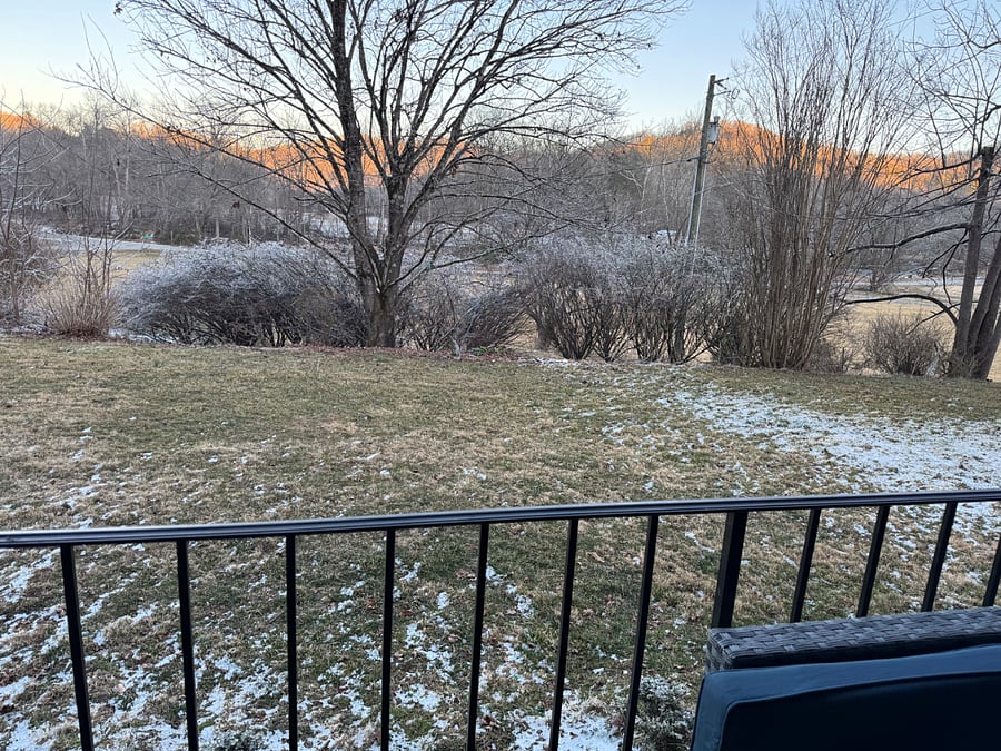 Front lawn where there my be a chance to see deer roaming late at night or early morning while enjoying your coffee.