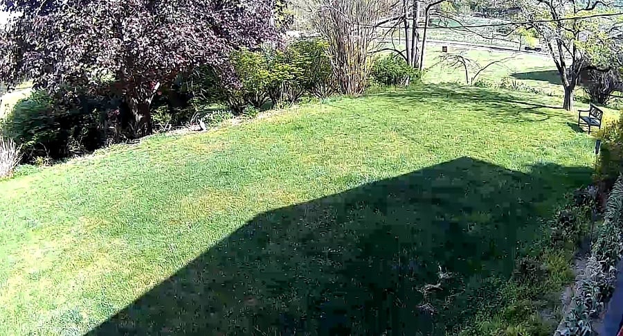 Front yard. This is a great place for kids to play.
