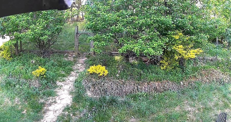 From back porch to fenced in area for the dog to play.
