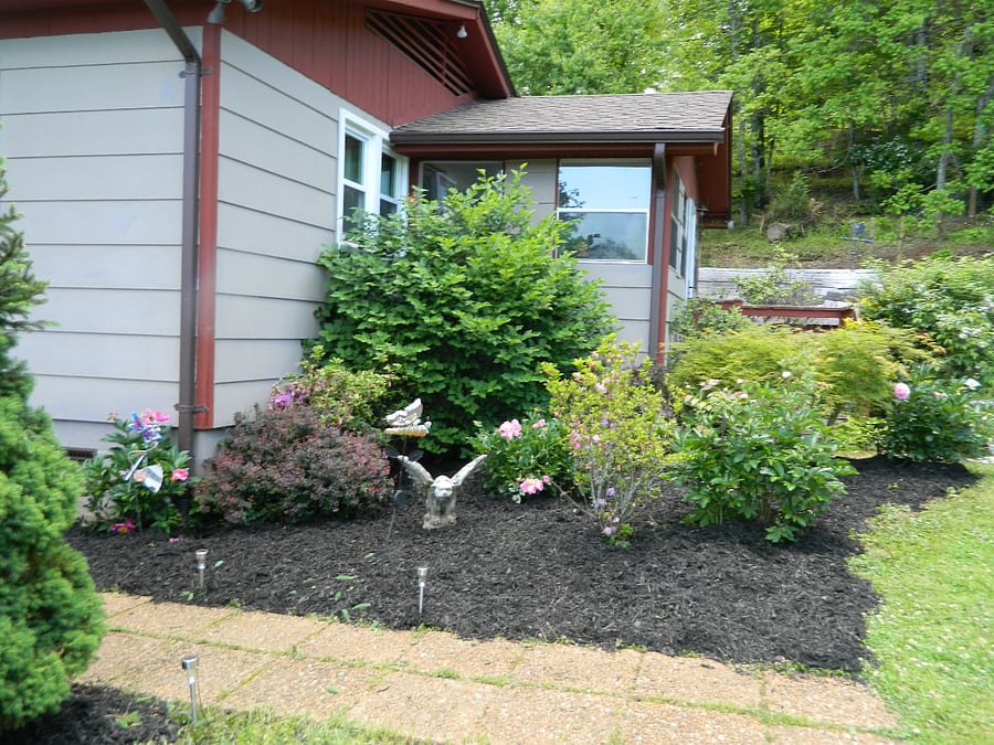 In the spring and summer, the colors are bright and beautiful. There is botanicals all around the property.